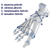 ErgoPad® weightflex 2 sisetallad