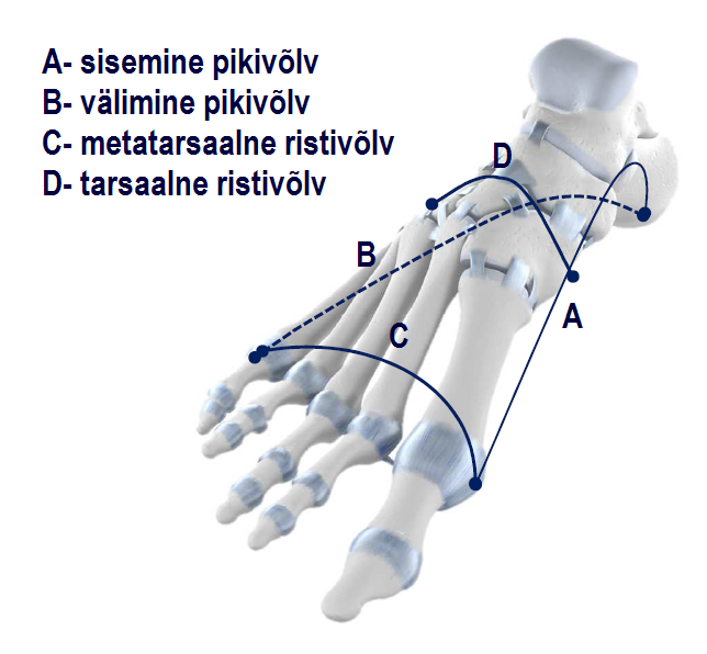 ErgoPad® weightflex 2 sisetallad