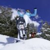 ErgoPad® ski & skate